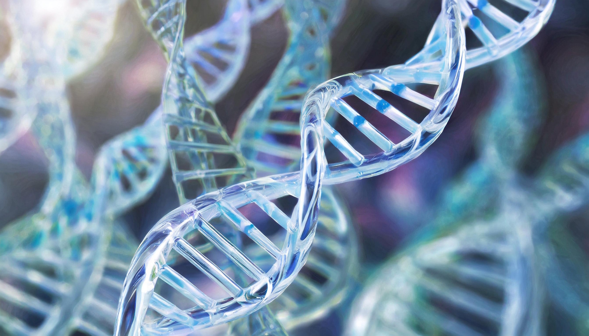 DNA wiederherstellen