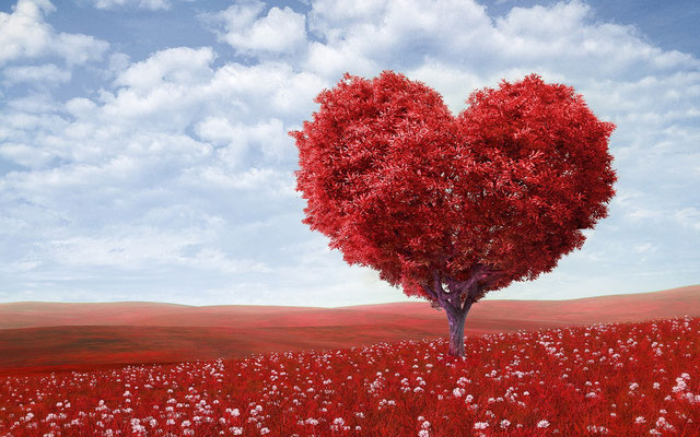 Selbstliebe