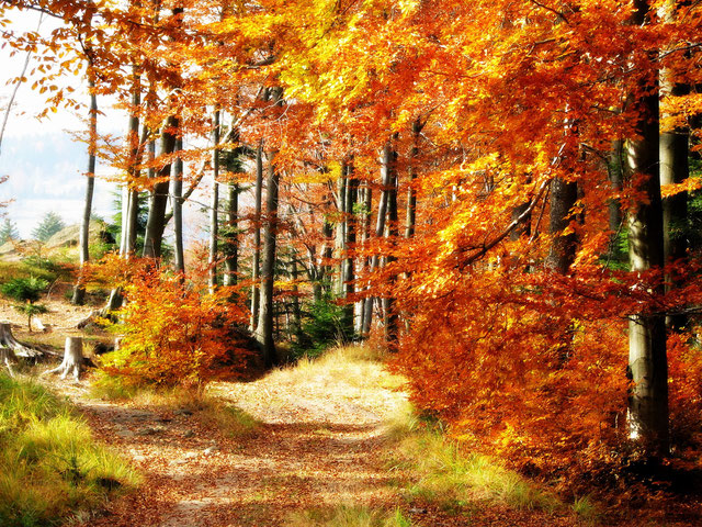 Gesund durch den Winter mit Vitamin D